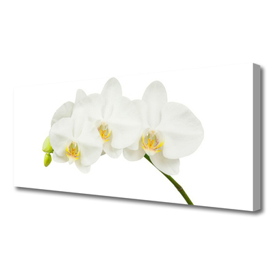 Canvas Wall art Flowers floral white