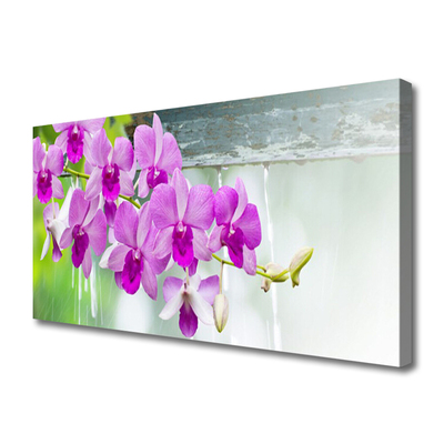 Canvas Wall art Flowers floral pink