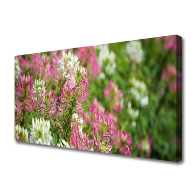 Canvas Wall art Flowers floral pink white green