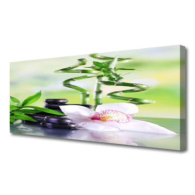 Canvas Wall art Bamboo stalks flower stones floral green white black