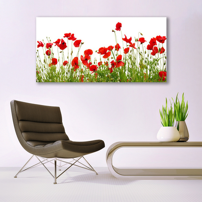 Canvas Wall art Meadow poppies nature green red