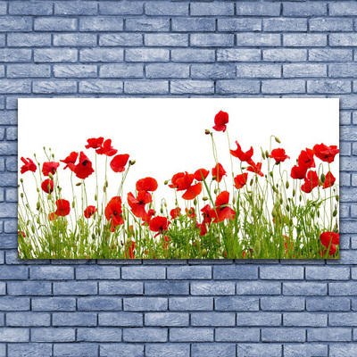 Canvas Wall art Meadow poppies nature green red