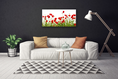 Canvas Wall art Meadow poppies nature green red