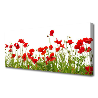 Canvas Wall art Meadow poppies nature green red