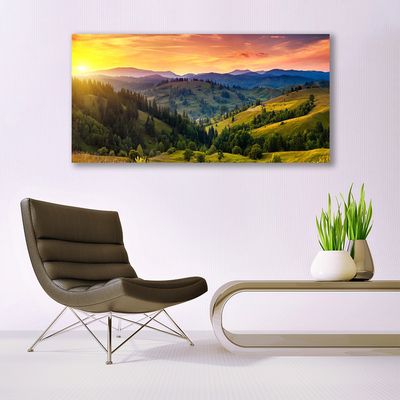 Canvas Wall art Sun mountain forest meadow nature yellow blue green