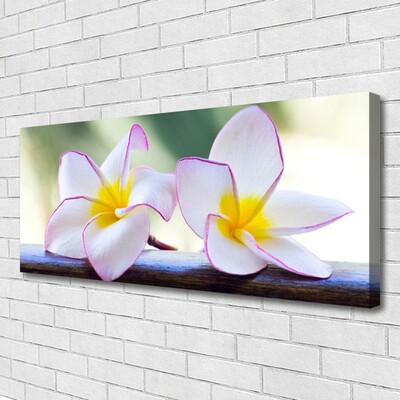 Canvas Wall art Flowers floral green pink