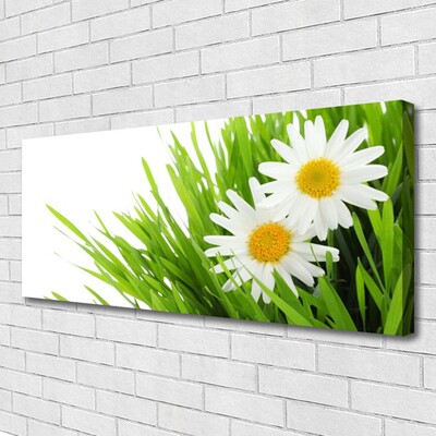 Canvas Wall art Grass daisies floral green yellow white