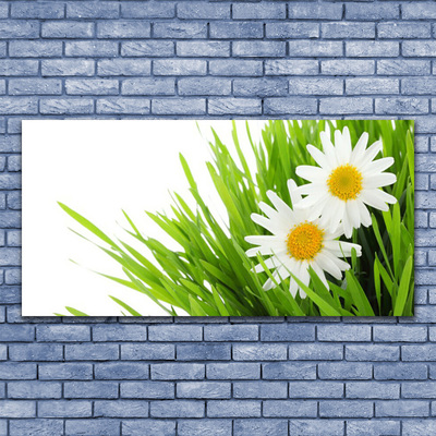 Canvas Wall art Grass daisies floral green yellow white