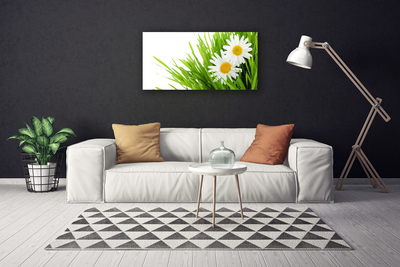 Canvas Wall art Grass daisies floral green yellow white