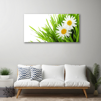 Canvas Wall art Grass daisies floral green yellow white