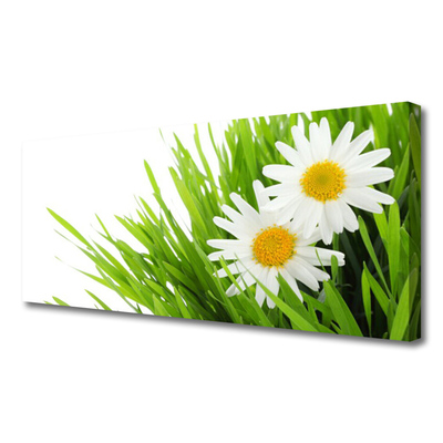 Canvas Wall art Grass daisies floral green yellow white