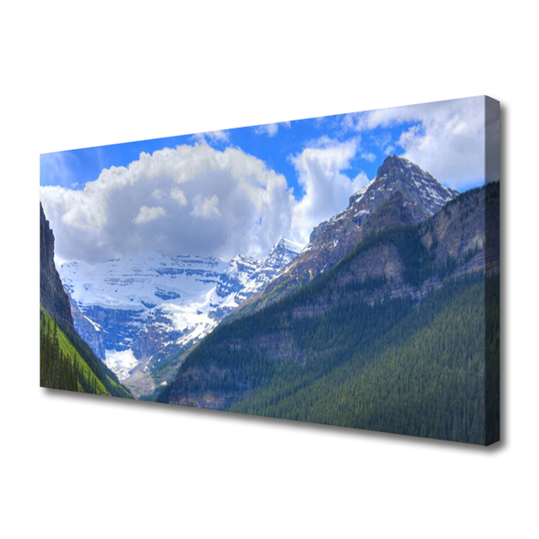 Canvas Wall art Mountains landscape grey blue white green