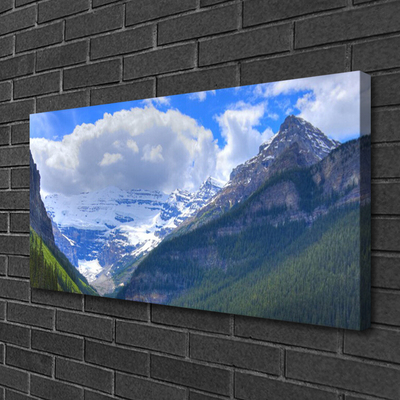 Canvas Wall art Mountains landscape grey blue white green