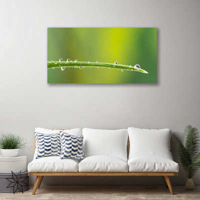 Canvas Wall art Grass dew drops floral green