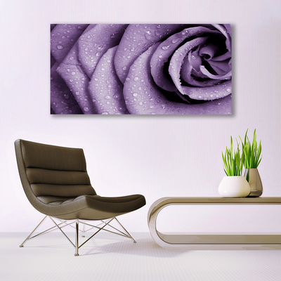 Canvas Wall art Rose floral purple