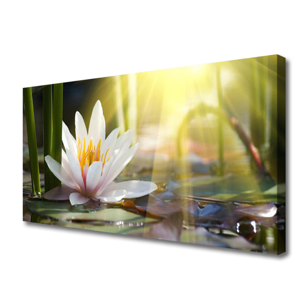 Canvas Wall art Flowers water floral white green