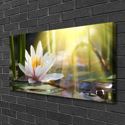 Canvas Wall art Flowers water floral white green