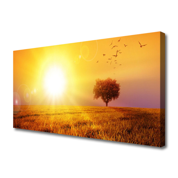 Canvas Wall art Sun meadow landscape yellow brown