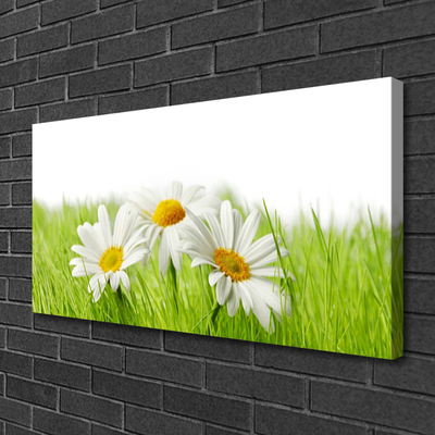 Canvas Wall art Grass daisies floral white green