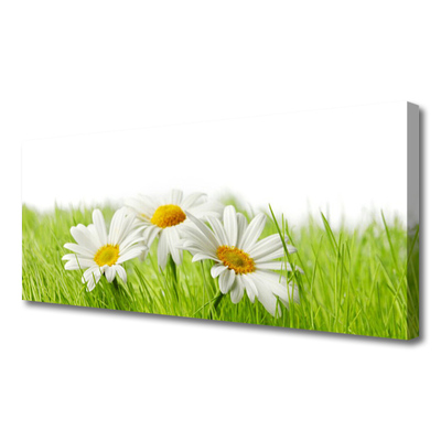 Canvas Wall art Grass daisies floral white green