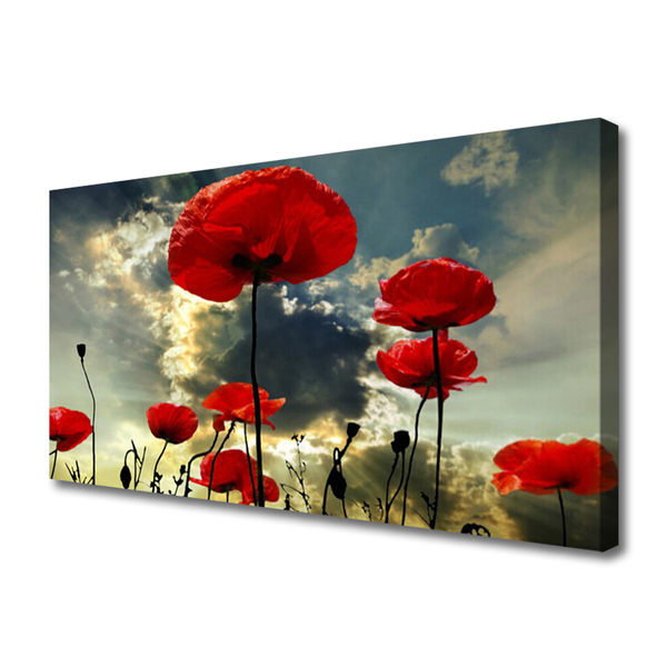 Canvas Wall art Poppies floral red