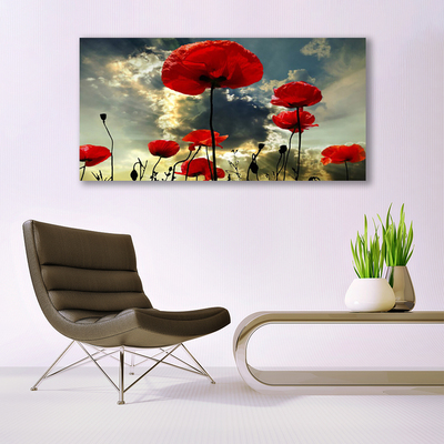 Canvas Wall art Poppies floral red