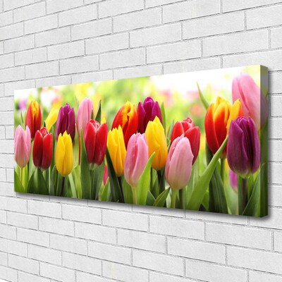 Canvas Wall art Tulips floral pink red yellow