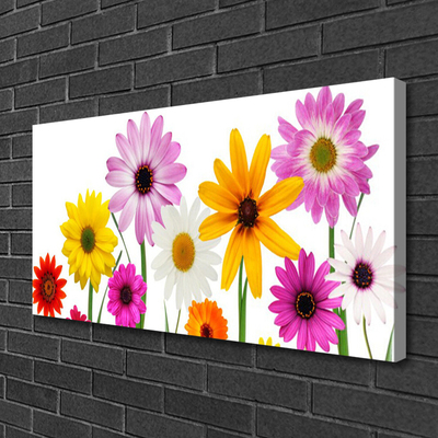 Canvas Wall art Flowers floral multi