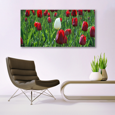 Canvas Wall art Tulips floral red white green