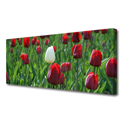 Canvas Wall art Tulips floral red white green