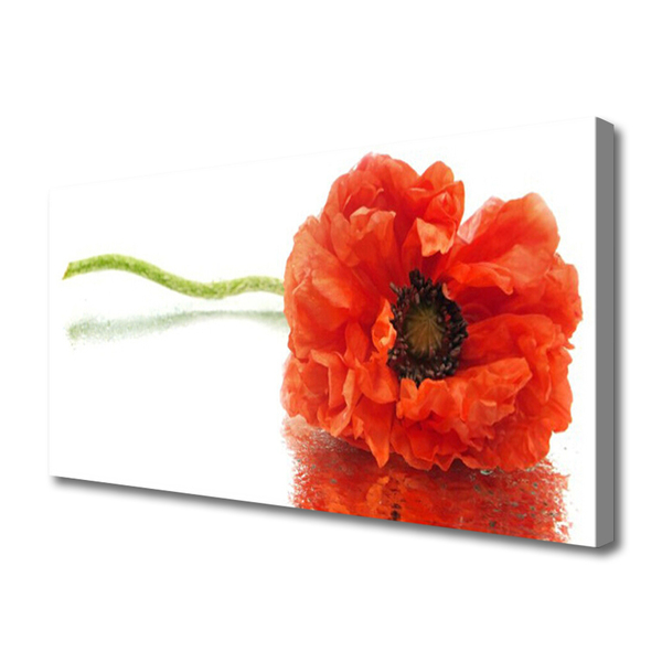 Canvas Wall art Flower floral red