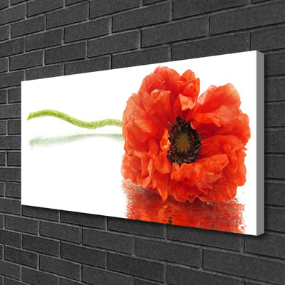 Canvas Wall art Flower floral red