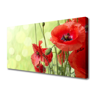 Canvas Wall art Poppies floral green red