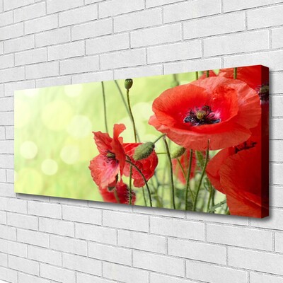 Canvas Wall art Poppies floral green red