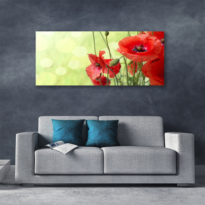 Canvas Wall art Poppies floral green red