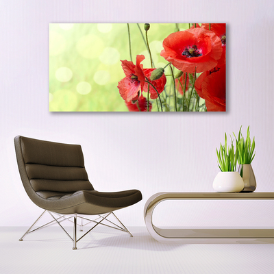 Canvas Wall art Poppies floral green red