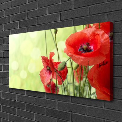 Canvas Wall art Poppies floral green red