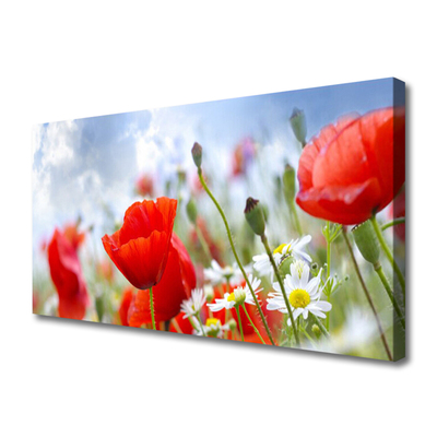 Canvas Wall art Poppies daisies floral red yellow white