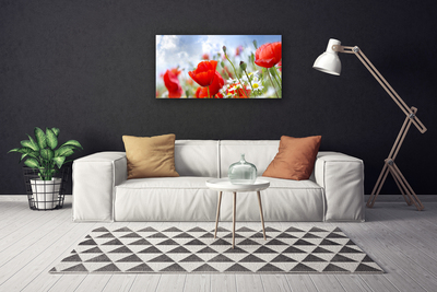 Canvas Wall art Poppies daisies floral red yellow white