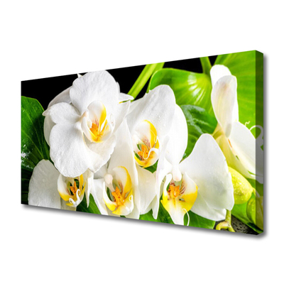 Canvas Wall art Petals floral white green