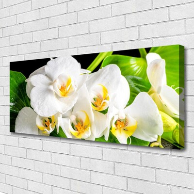 Canvas Wall art Petals floral white green