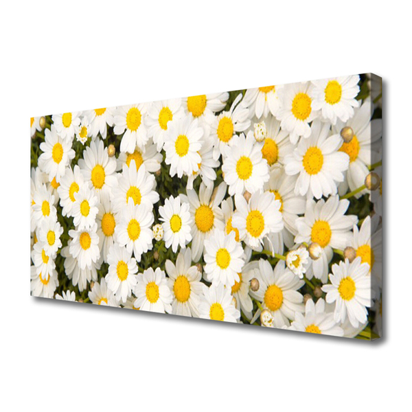 Canvas Wall art Daisy floral yellow white