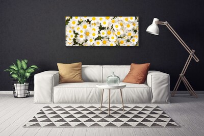 Canvas Wall art Daisy floral yellow white