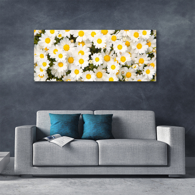 Canvas Wall art Daisy floral yellow white