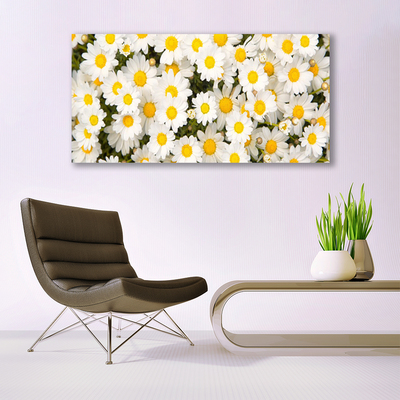 Canvas Wall art Daisy floral yellow white