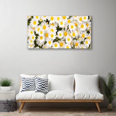 Canvas Wall art Daisy floral yellow white