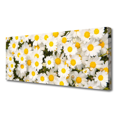 Canvas Wall art Daisy floral yellow white