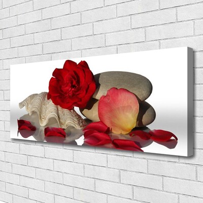 Canvas Wall art Rose conch stones art red white grey