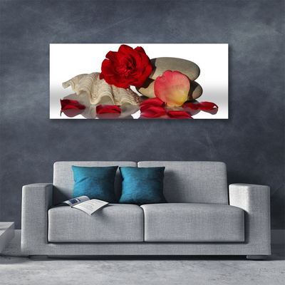 Canvas Wall art Rose conch stones art red white grey