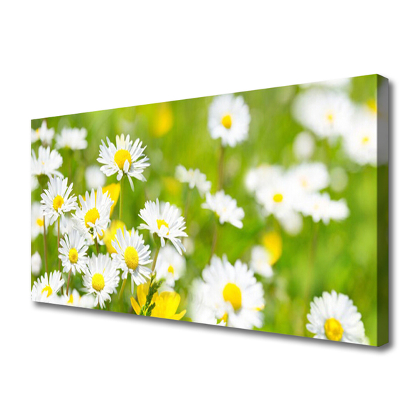 Canvas Wall art Daisy floral yellow white